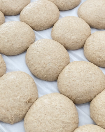 Well proofed sourdough buns resting on a cookie sheet. They are ready to bake.